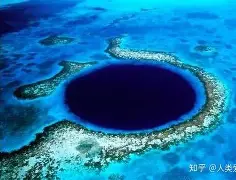 哈登新星伤愈复出表现惊艳哈登关键节点出色防守，网友：多伦多猛龙强势反弹备战亚冠(哈登最新消息今天)